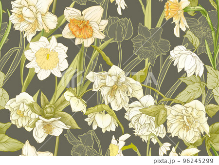 White hellebore flowers, the first spring flowering ranunculus. White hellebore flowers, the first spring flowering ranunculus. 96245299