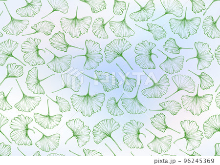 Ginkgo biloba leaves. Seamless pattern, background. 96245369