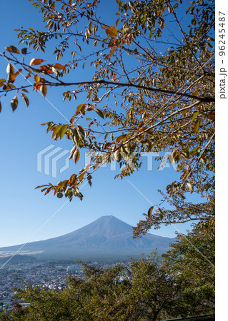 【山梨県】 新倉山浅間公園 秋 【山梨県】 新倉山浅間公園 秋 96245487