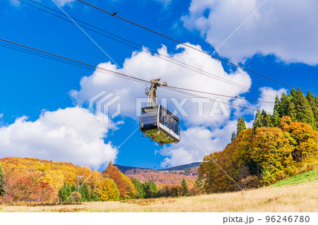 (山形県)紅葉の山形蔵王 蔵王ロープウェイ ・雪を待つゲレンデ (山形県)紅葉の山形蔵王 蔵王ロープウェイ ・雪を待つゲレンデ 96246780