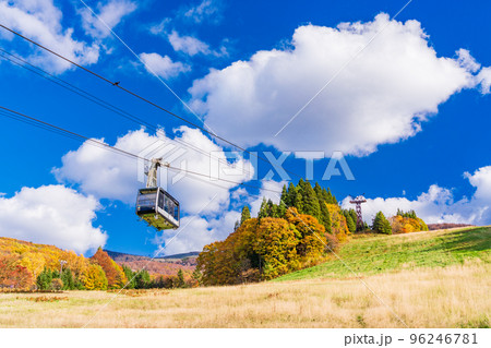 （山形県）紅葉の山形蔵王　雪を待つゲレンデ 96246781