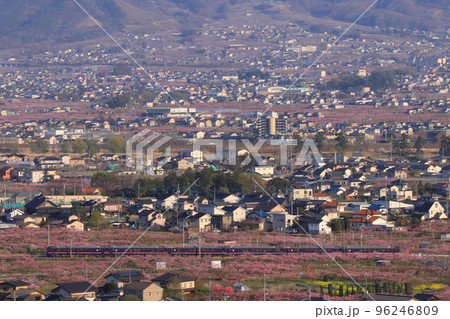 甲府盆地の桃源郷を行く在りし日の485系「華」_2022/4/9撮影 96246809