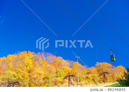 (山形県)紅葉の山形蔵王 蔵王スカイケーブル (山形県)紅葉の山形蔵王 蔵王スカイケーブル 96246845