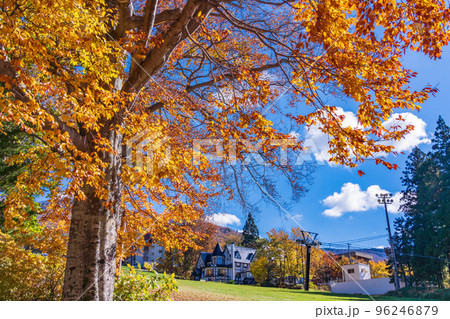 （山形県）紅葉の山形蔵王　上の台ゲレンデ 96246879