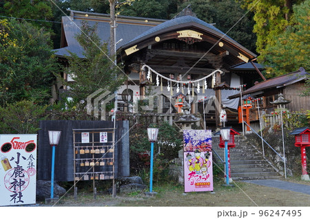 小鹿神社　秩父 96247495