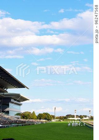 秋深まる東京競馬場 秋深まる東京競馬場 96247568