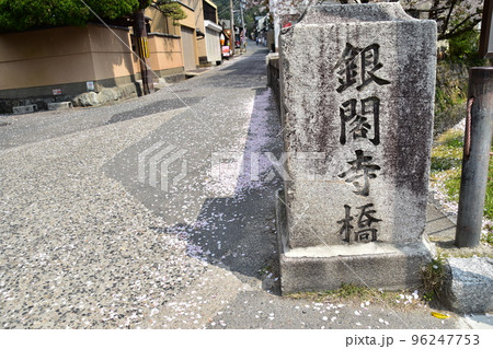 日本の京都府の京都市　銀閣寺近くの哲学の道　満開の桜と銀閣寺橋　周辺の街並みと道路に積もる桜の花びら 96247753