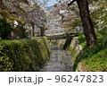 日本の京都府の京都市　銀閣寺近くの哲学の道　満開の桜と小川　花吹雪と散った花びらが水面を流れる花筏 96247823