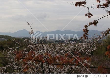 早島から岡山市市街地遠望 96247901