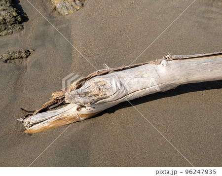 砂浜の流木。 96247935