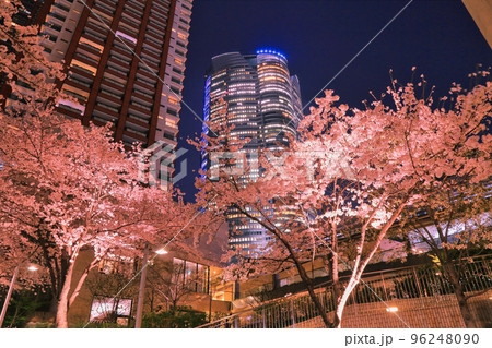 六本木さくら坂の夜桜 ( 東京都 港区 六本木 / 2018年03月 ) 96248090