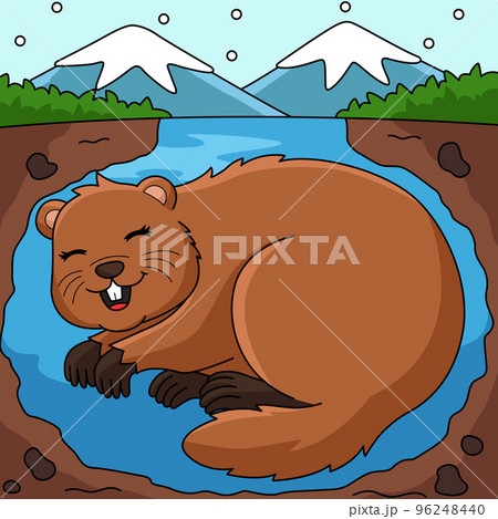 Groundhog Hibernating Colored Cartoon Illustration Groundhog Hibernating Colored Cartoon Illustration 96248440