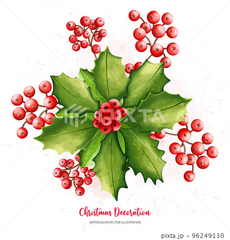 Christmas Holly, pine cone set, Digital paint watercolor illustration 96249130