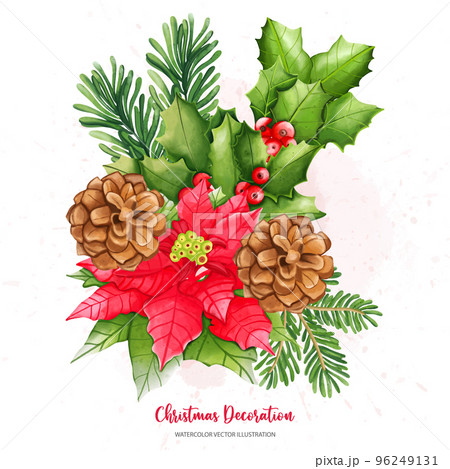 Christmas Holly berry, pine cone set, Digital paint watercolor illustration 96249131