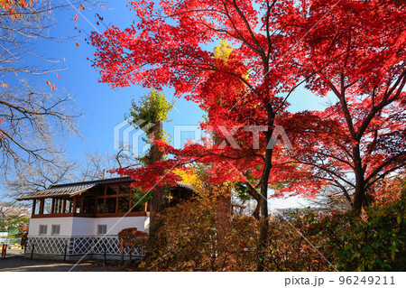 紅葉と白壁のトイレ 96249211