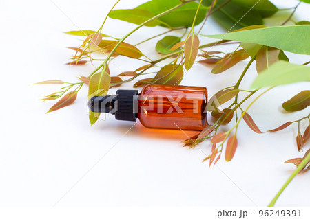 Eucalyptus essential oil bottle with leaves on white background. 96249391