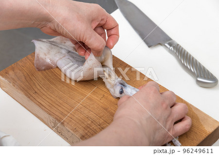 【ミドル主婦がスルメイカをさばく　肝を取り出す】 96249611