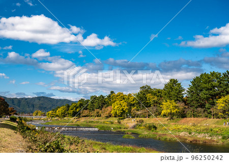 賀茂川半木の道付近の秋風景 96250242
