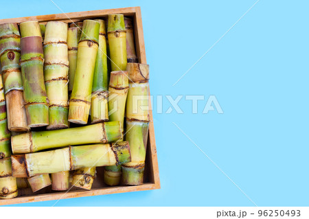 Sugar cane on blue background. 96250493