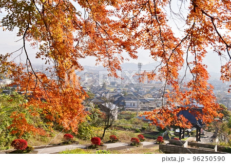 紅葉したもみじ葉の間からの町並み 96250590