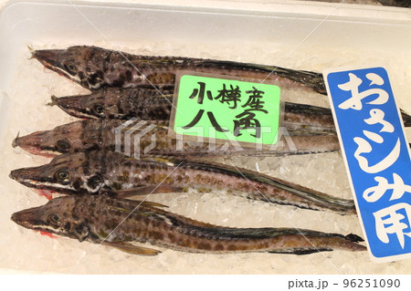 八角(北海道小樽産) 八角(北海道小樽産) 96251090