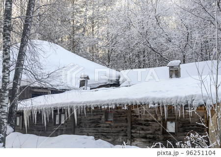 An old wooden house and stable with icicles on the roof in a birch snow-covered forest in winter 96251104