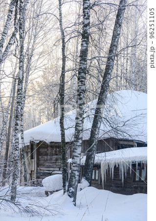 An old wooden house and stable with icicles on the roof in a birch snow-covered forest in winter An old wooden house and stable with icicles on the roof in a birch snow-covered forest in winter 96251105