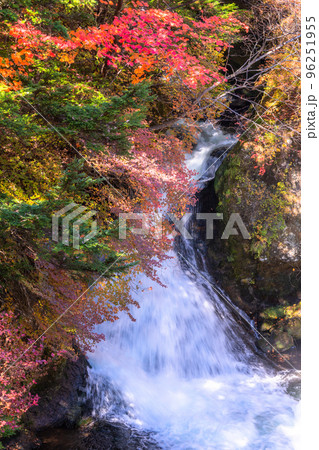 《栃木県》秋の竜頭の滝・紅葉最盛期 96251955