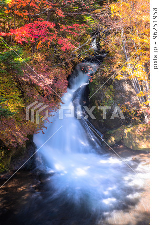《栃木県》秋の竜頭の滝・紅葉最盛期 《栃木県》秋の竜頭の滝・紅葉最盛期 96251958