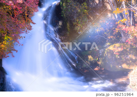 《栃木県》秋の竜頭の滝・紅葉最盛期 96251964