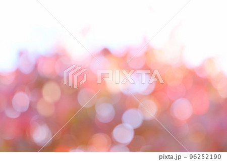 ハナミズキの紅葉のアウトフォーカス 【ボケ】 【ぼかし】 96252190