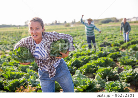 Woman fleeing farm field with stolen cabbages 96252301