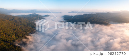 sunrise in the forest 96252770