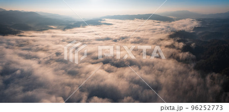 sunrise in the forest 96252773