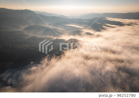 sunrise in the forest sunrise in the forest 96252780