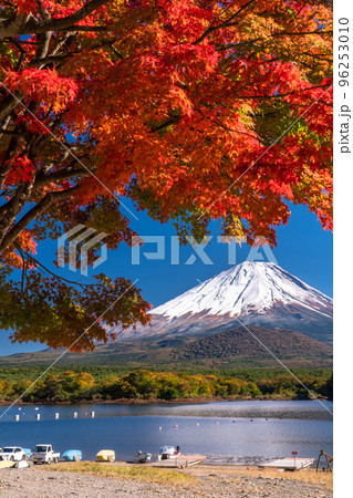 写真素材: 《山梨県》秋の富士山・精進湖湖畔の紅葉 写真素材: 《山梨県》秋の富士山・精進湖湖畔の紅葉 96253010
