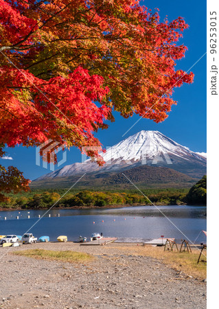 写真素材: 《山梨県》秋の富士山・精進湖湖畔の紅葉 写真素材: 《山梨県》秋の富士山・精進湖湖畔の紅葉 96253015