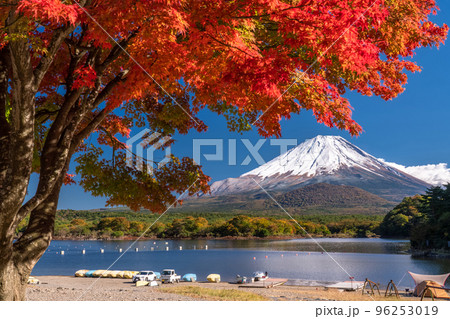 写真素材: 《山梨県》秋の富士山・精進湖湖畔の紅葉 写真素材: 《山梨県》秋の富士山・精進湖湖畔の紅葉 96253019