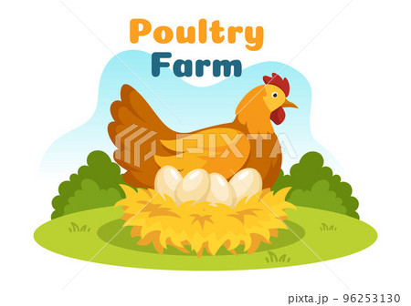 Poultry Farming with Farmer, Cage, Chicken and Egg Farm on Green Field Background View in Hand Drawn Cute Cartoon Template Illustration 96253130