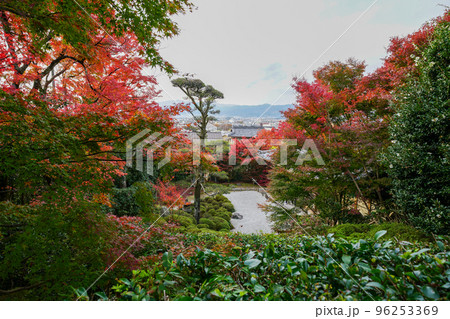 Autumn leaves of Kinpukuji - Stock Photo [96253369] - PIXTA