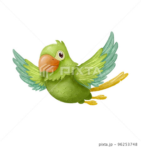 Green parrot bird flying. Hand drawn cartoon character isolated on white. 96253748