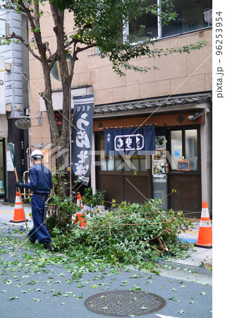 公共工事：街路樹の剪定 96253954