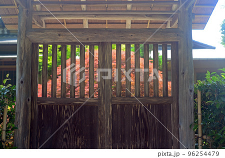 京都大覚寺望雲亭-8 96254479