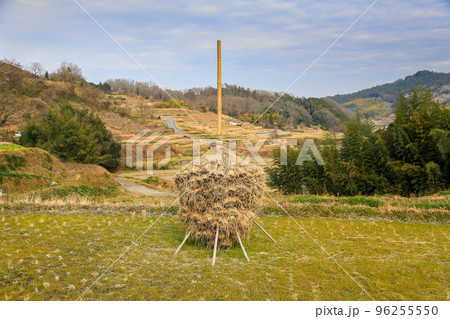奈良県 明日香村 冬 ススキ(稲藁積み) 奈良県 明日香村 冬 ススキ(稲藁積み) 96255550