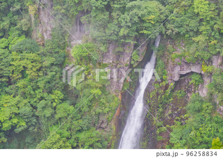 新緑の映える滝 新緑の映える滝 96258834