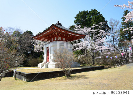 西山公園の桜を見に行きました　＃44 96258941