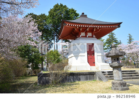 西山公園の桜を見に行きました　＃49 96258946