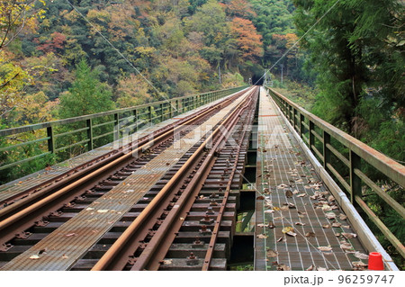 廃線になったJR三江線（現在は江の川鉄道が不定期で運行する観光用のトロッコ列車の車窓風景） 96259747