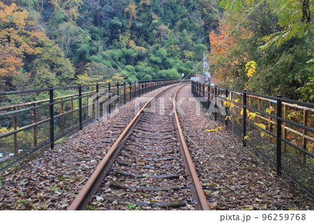 廃線になったJR三江線(現在は江の川鉄道が不定期で運行する観光用のトロッコ列車の車窓風景) 廃線になったJR三江線(現在は江の川鉄道が不定期で運行する観光用のトロッコ列車の車窓風景) 96259768