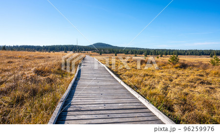 Wooden path in Bozi Dar peat bog nature reservation on sunny autumn day. Ore Mountains, Czech: Krusne hory, Czech Republic Wooden path in Bozi Dar peat bog nature reservation on sunny autumn day. Ore Mountains, Czech: Krusne hory, Czech Republic 96259976